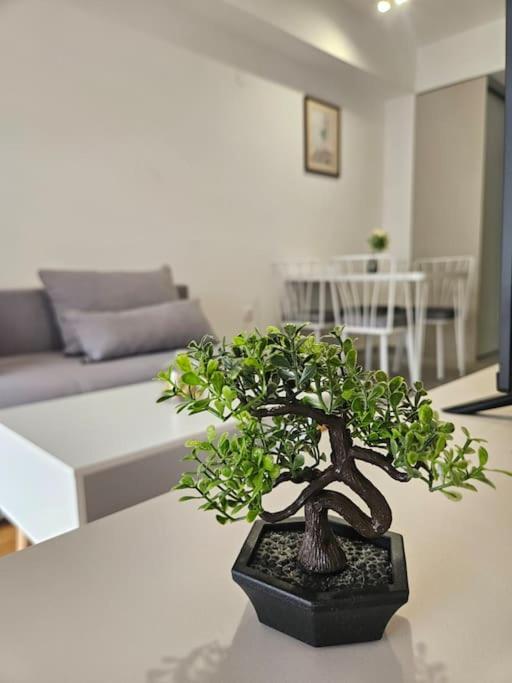 Milo Apartment Skopje Ngoại thất bức ảnh
